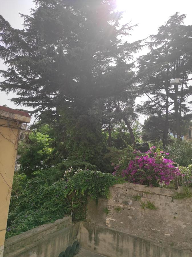 Costa Del Sole Bed & Breakfast Salerno Bagian luar foto